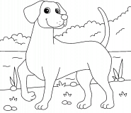 Vizsla Dog - coloring page n° 1006