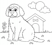 Goldendoodle Dog - coloring page n° 1008