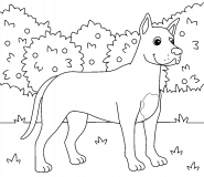 Great Dane Dog - coloring page n° 1009