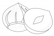 Full and Half Peeled Hazelnuts - coloring page n° 1037