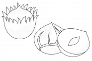 Hazelnuts - coloring page n° 1038