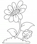 A Flower and a Mushroom - coloring page n° 1052