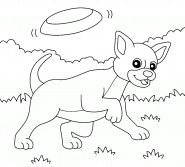A Chihuahua Playing Frisbee - coloring page n° 1186