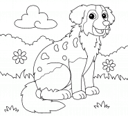 Australian Shepherd - coloring page n° 1189