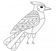 Opila Bird coloring page - Download, Print or Color Online for Free