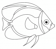 Blue and Yellow Exotic Fish - coloring page n° 1264