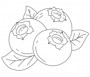 Blueberries with Leaves - coloring page n° 1290