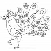 Beautiful Peacock - coloring page n° 1310