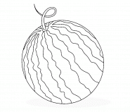 Watermelon - coloring page n° 1323