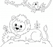 Opila Bird coloring page - Download, Print or Color Online for Free