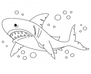 Angry Shark - coloring page n° 1377