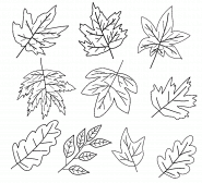 Fall Leaves - coloring page n° 1436