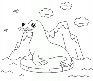 Cartoon Seal On Ice Floe - coloring page n° 1548