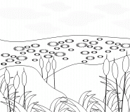 Pond with reeds at summer - coloring page n° 262