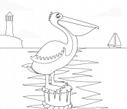 Pelican - coloring page n° 29