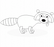 Raccoon - coloring page n° 295