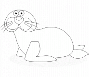 Harbor seal - coloring page n° 301