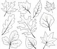 Autumn Leaves - coloring page n° 366