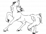 Arabian stallion getting ready to rear up - coloring page n° 6