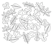 Autumn fall Leaves - coloring page n° 616