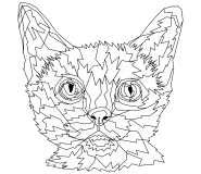 Colorful Cat (pop art) - coloring page n° 731
