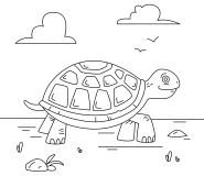 Happy turtle in the grass - coloring page n° 736