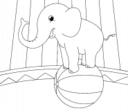 Circus Elephant Balancing On Ball - coloring page n° 853