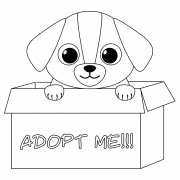 Adopt Me (Cute dog in cardboard box) - coloring page n° 871
