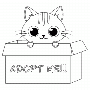 Adopt this adorable Kitten!!! - coloring page n° 873