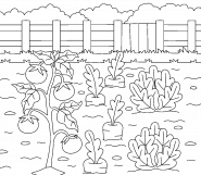 Vegetables Growing in the Garden - coloring page n° 874