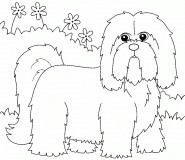 Lhasa Apso Dog - coloring page n° 934