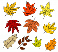 Fall Leaves | Free Online Coloring Page